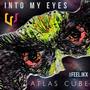 Into My Eyes (feat. FEEL.ikx)