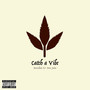 Catch a Vibe (Explicit)