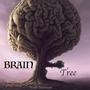 Brain Tree