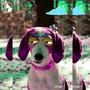 Purple Dog