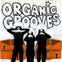 Organic Grooves 4- Live in NYC