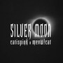 Silver Moon