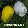 Rivarola, Vol. 1