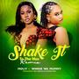 Shake To The Max (Fly) Remake (feat. Moliy & Silent Addy)
