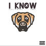 I Know (feat. Bri$co) [Remix] [Explicit]