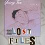 Lost Files (Explicit)