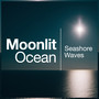 Moonlit Ocean