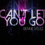 Can’t Let You Go