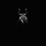 THE CONFESSION (Explicit)