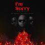 I'm Sorry (feat. BigFa & Fritzoe) [Remix]