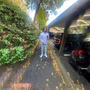 Rank (Explicit)