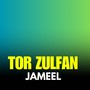 Tor Zulfan