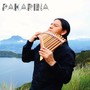 The Song of the Ocarina