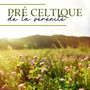 Pré celtique de la sérénité : Musique celtique relaxante pour l'anti-stress