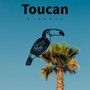 Toucan