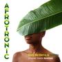 Afrotronic -Orlando Voorn Remixes