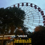 animali