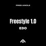 Freestyle 1.0 (prod. ANCIL8) [Explicit]