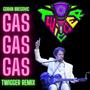 TWiGGER Gas Gas Gas (Goran Bregović) (TWiGGER Remix)