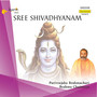 Sree Shivadhyanam