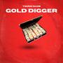 Gold Digger (Explicit)