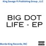 Big Dot Life (Explicit)