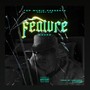 Feature (Explicit)