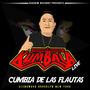 Cumbia De Las Flautas (live Brooklyn)