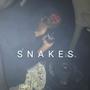 Snakes (Explicit)