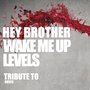 Hey Brother, Wake Me Up, Levels: Tribute to Avicii