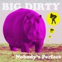 Nobody's Perfect (Explicit)