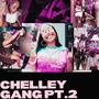 CHELLEY GANG, Pt. 2 (Explicit)