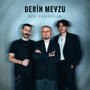 Son Zamanlar