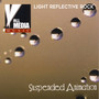 Suspended Animation: Light Reflective Rock