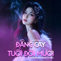 Đắng Cay Tuổi Đôi Mươi (Remix)