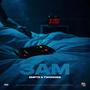 3am (feat. twonoss) [Explicit]