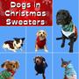 Dogs in Christmas Sweaters (feat. Lizzie Zink)