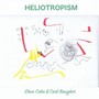 Heliotropism