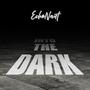 Into The Dark