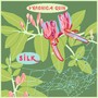 Silk (Explicit)