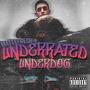 Underrated Underdog (Explicit)