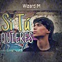 Si Tu Quieres