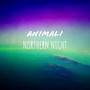 Northern Night