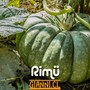 Rimü