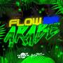 Flow Br Arabe (Remix)