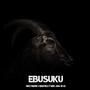 Ebusuku (feat. Mavuthela, Ribby, Cosh & Dr Lee)