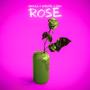 Rose (feat. Amente & DJAV) [Explicit]