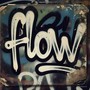 Flow (Explicit)