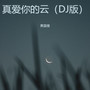 真爱你的云（DJ版）