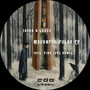 Mournful Pulse EP (Incl. PiNG UK remix)